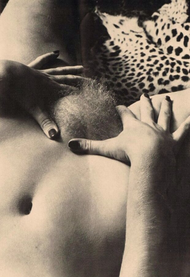 Vintage hairy pussy
